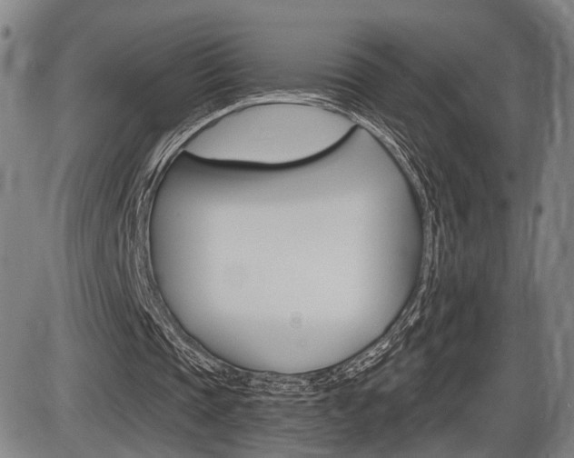 X0000086320337200703300911