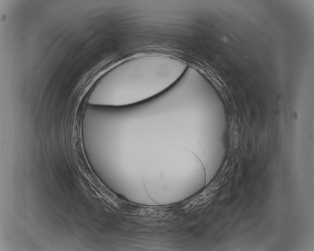 X0000086320338200703300911