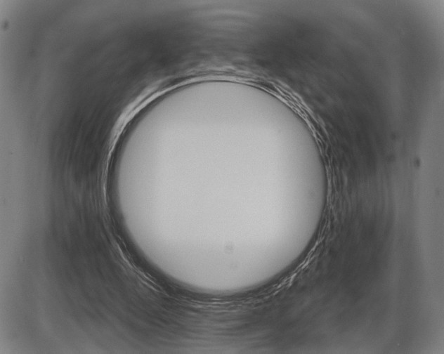 X0000086320344200703300911