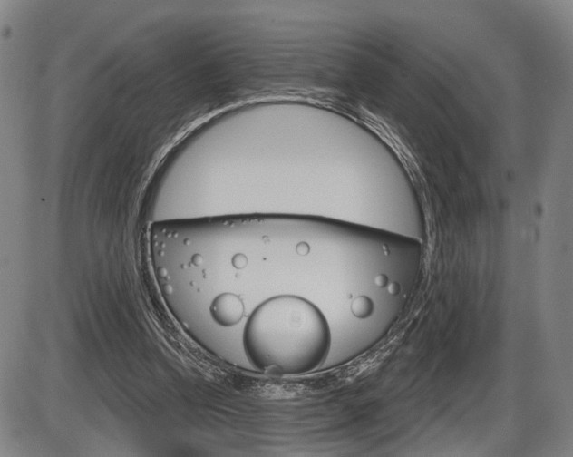 X0000086320346200703300911