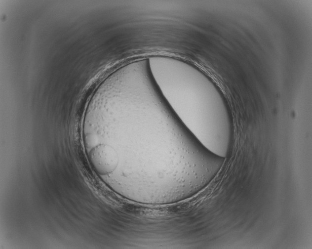 X0000086320347200703300911
