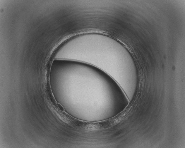 X0000086320350200703300911
