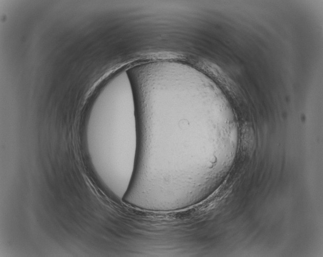 X0000086320351200703300911