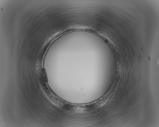 X0000086320352200703300911