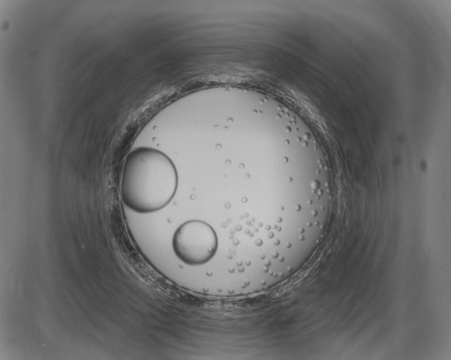 X0000086320354200703300911