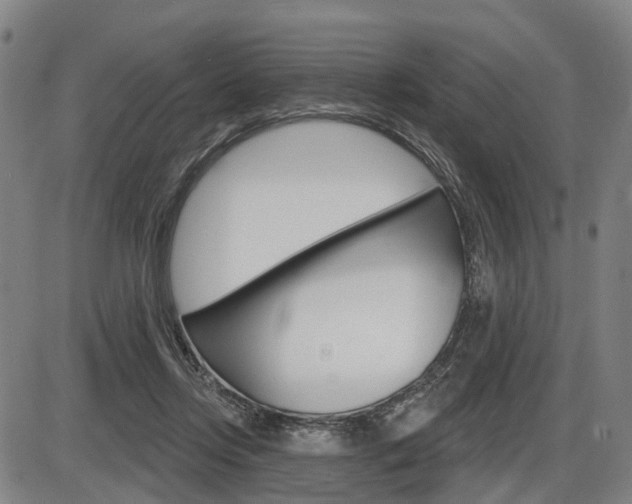 X0000086320358200703300911