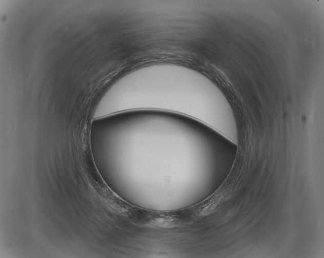 X0000086320364200703300911