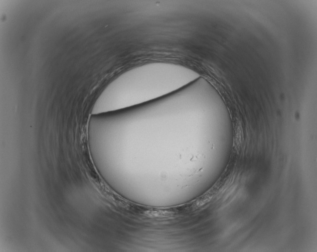 X0000086320367200703300911