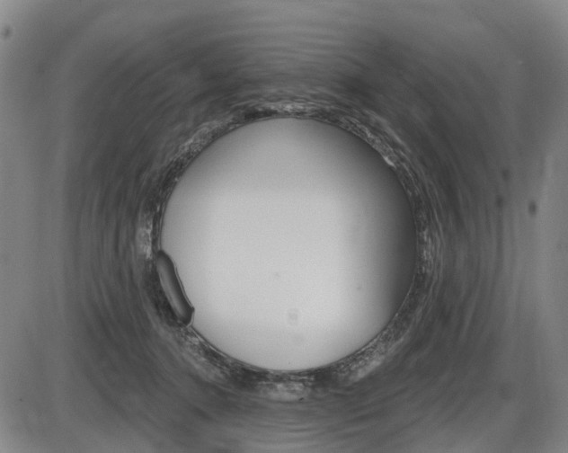 X0000086320368200703300911