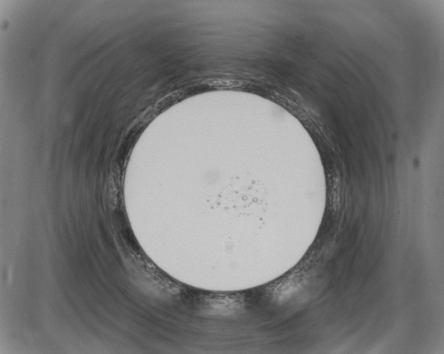 X0000086320370200703300911