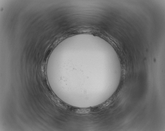 X0000086320373200703300911