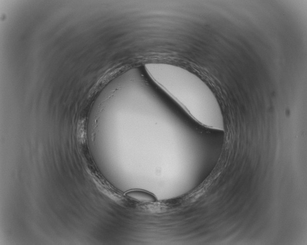 X0000086320383200703300911