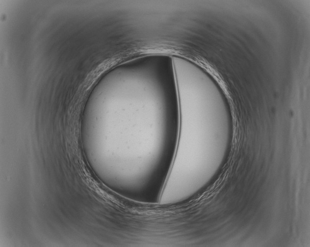 X0000086320385200703300911