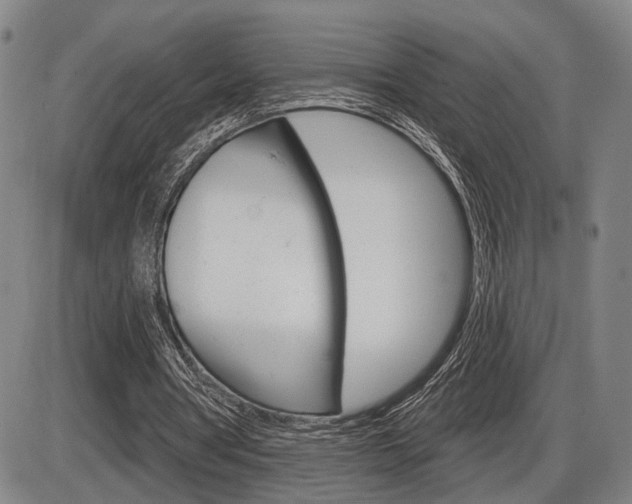 X0000086320386200703300910