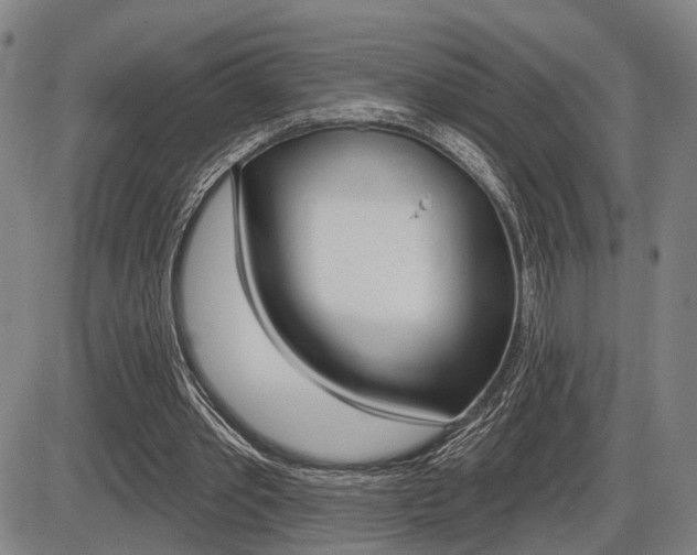 X0000086320389200703300910