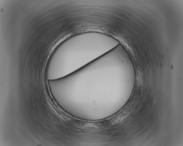 X0000086320390200703300910
