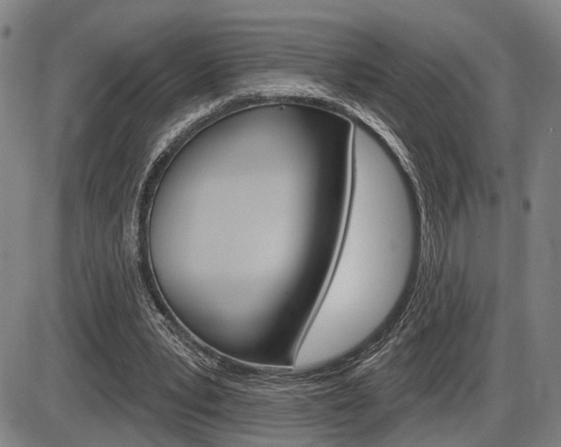X0000086320391200703300910