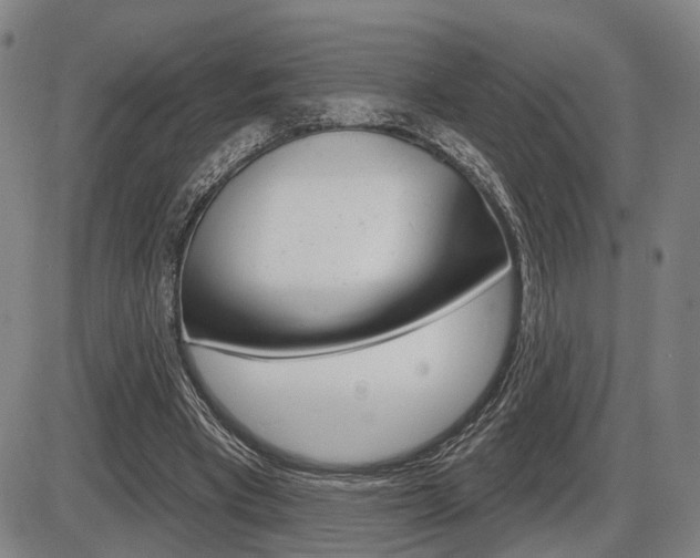 X0000086320393200703300910