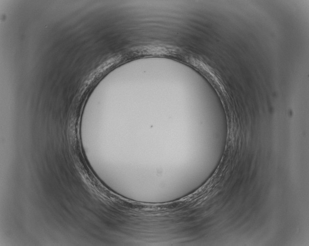 X0000086320394200703300910