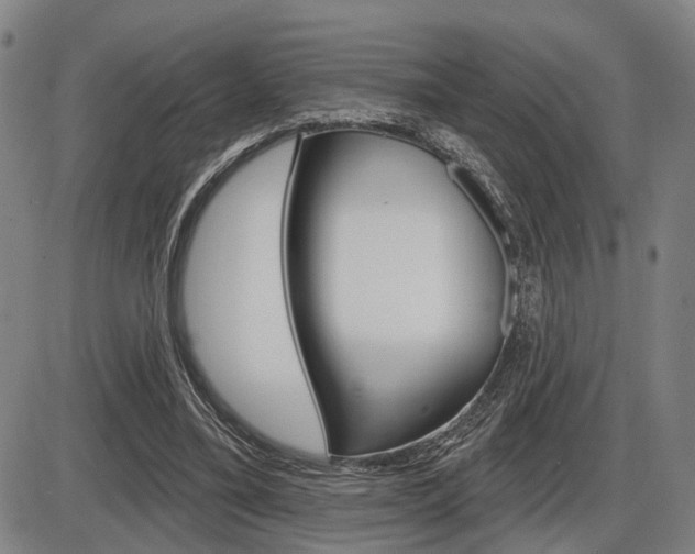 X0000086320395200703300910