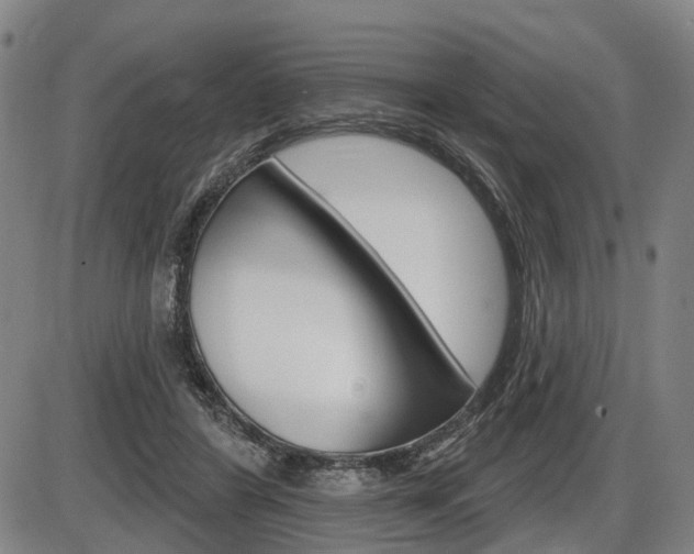 X0000086320404200703300910