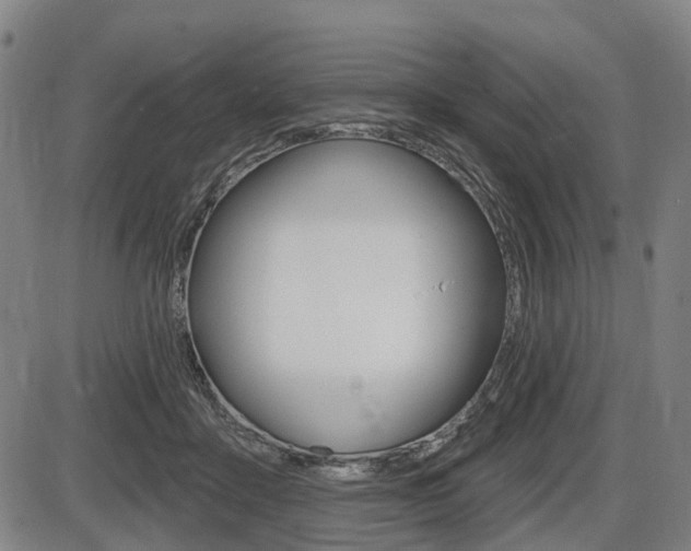 X0000086320411200703300910