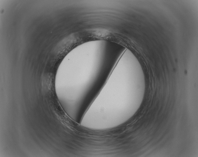 X0000086320412200703300910