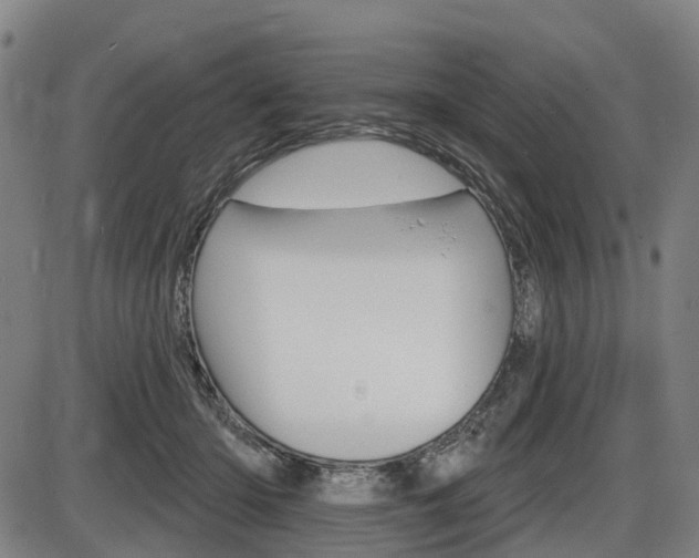 X0000086320414200703300910