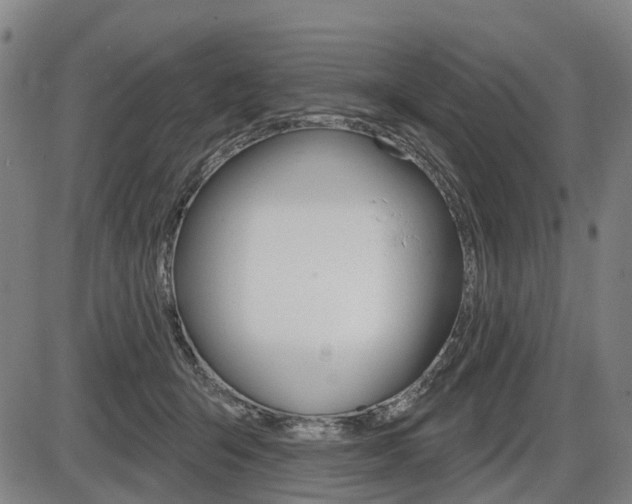 X0000086320415200703300910