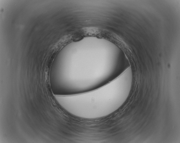 X0000086320417200703300910
