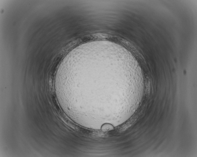 X0000086320418200703300910