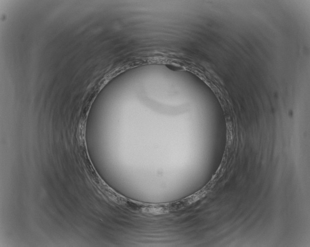 X0000086320419200703300910
