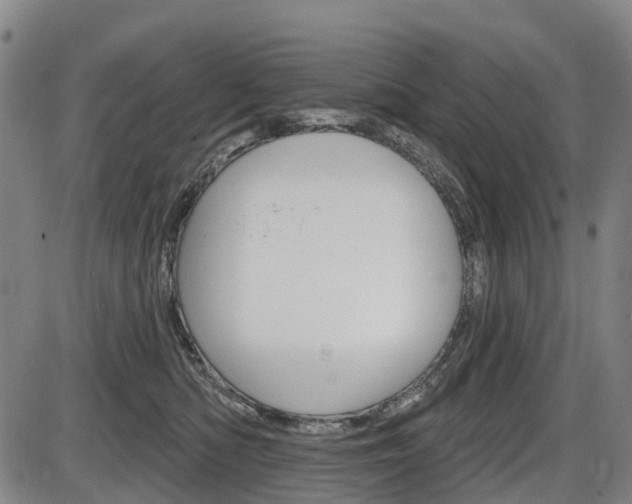 X0000086320422200703300910
