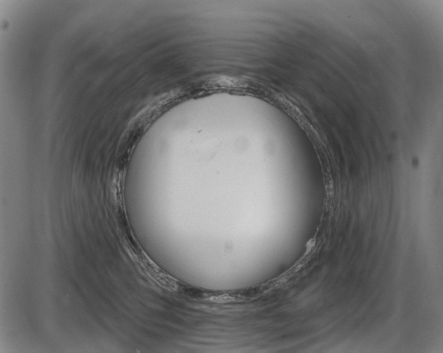 X0000086320423200703300910