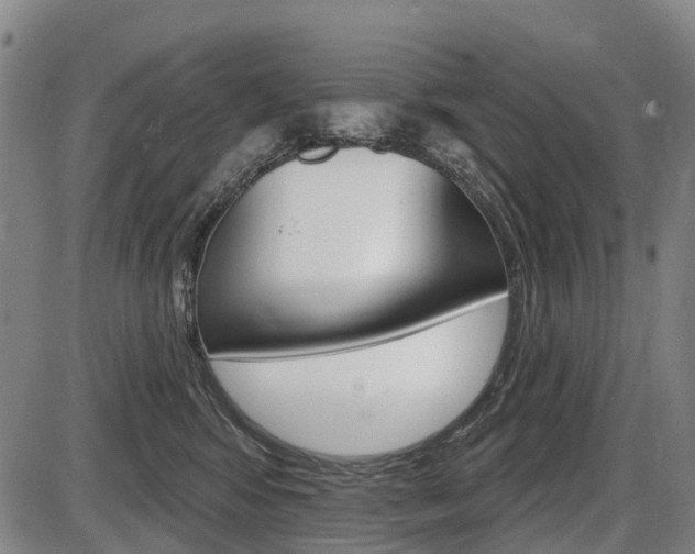 X0000086320424200703300910