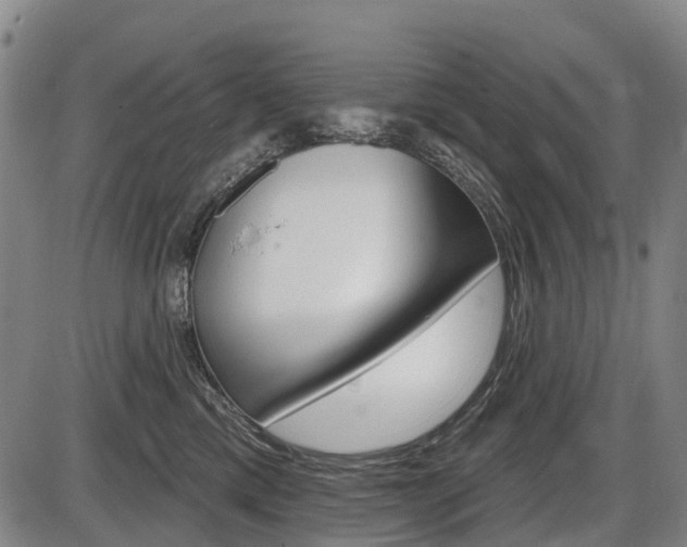 X0000086320425200703300910