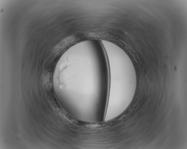 X0000086320428200703300910