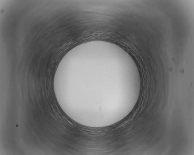 X0000086320432200703300910