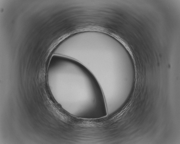 X0000086320437200703300909