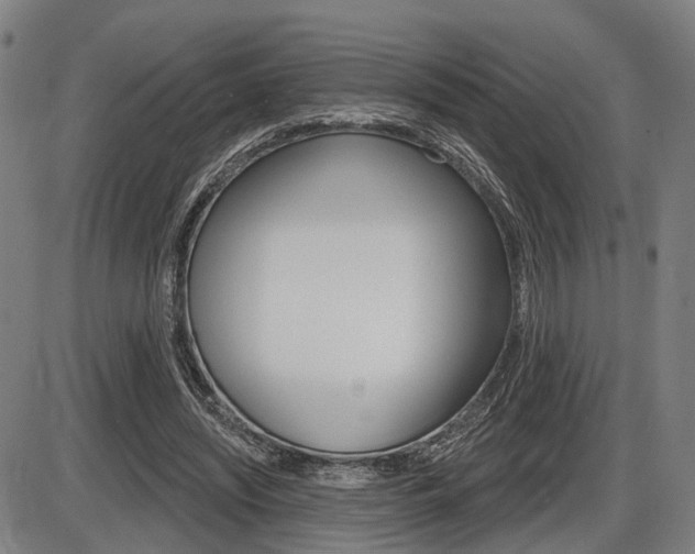 X0000086320444200703300909