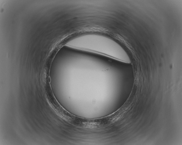 X0000086320448200703300909