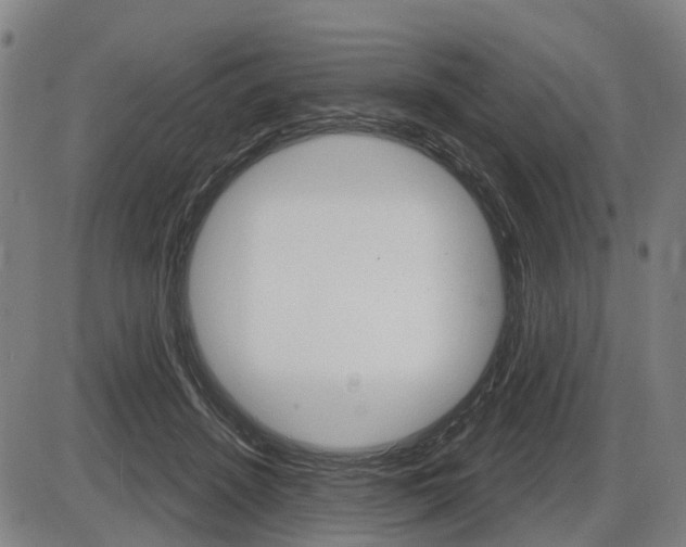 X0000086320456200703300909