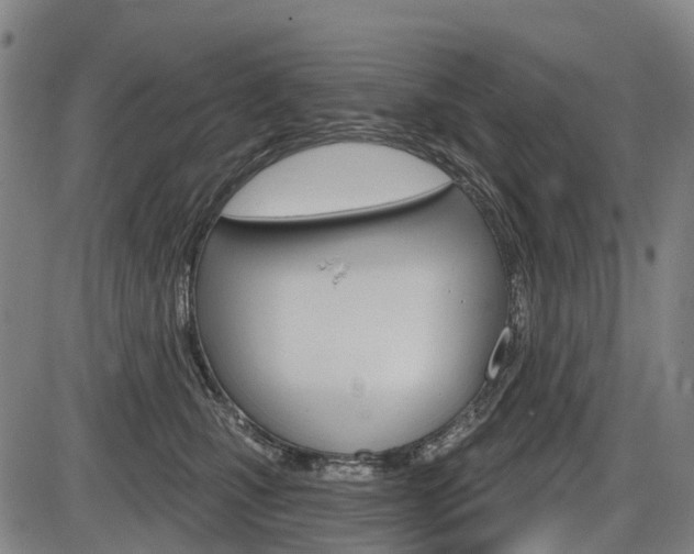 X0000086320471200703300910
