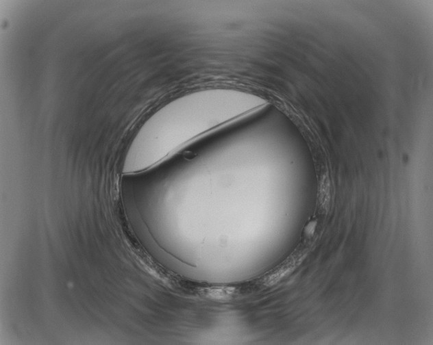X0000086320474200703300910