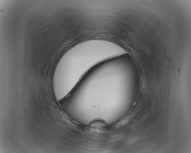X0000086320475200703300910