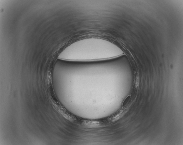 X0000086320476200703300910