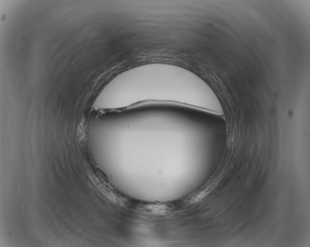 X0000086320478200703300910