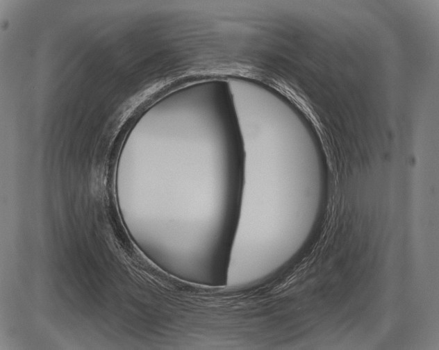 X0000086320483200703300909