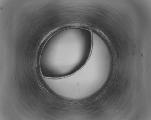 X0000086320484200703300909
