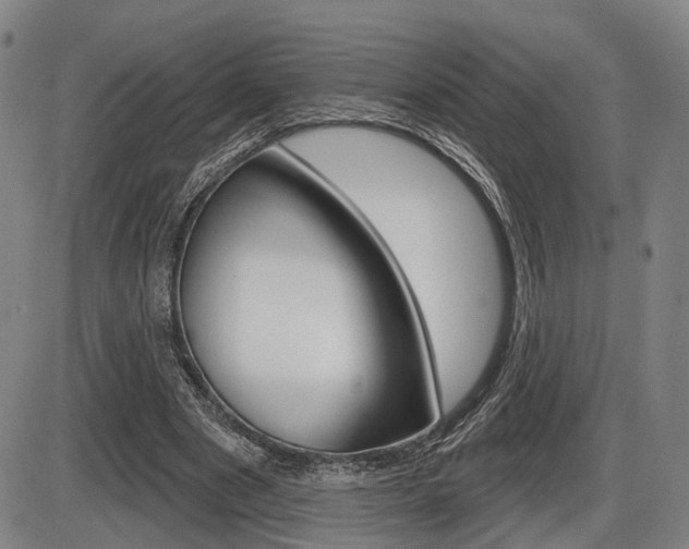 X0000086320489200703300909